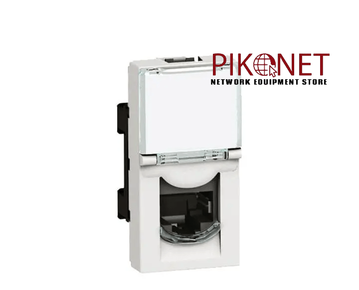 2956_4_webptopng.app-min